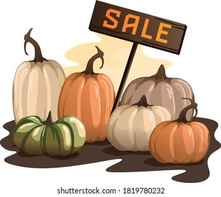 A cheerful and cute image of pumpkins of different colors and shapes with a SALE sign. Banner, poster, voucher, offer, coupon, holiday sale. Vector illustration. picture for the president of Halloween