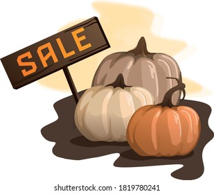 A cheerful and cute image of pumpkins of different colors and shapes with a SALE sign. Banner, poster, voucher, offer, coupon, holiday sale. Vector illustration. picture for the president of Halloween