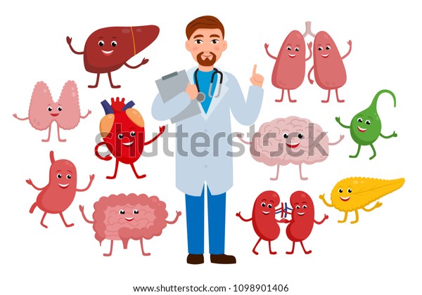 白い背景に明るい医師と健康器官の漫画のキャラクター フラットデザインでの健康診断のコンセプトイラスト 可笑しい脳 強い心 肝臓 甲状腺 胃の肺のベクター画像 のベクター画像素材 ロイヤリティフリー