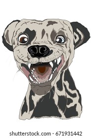 Cheerful dog