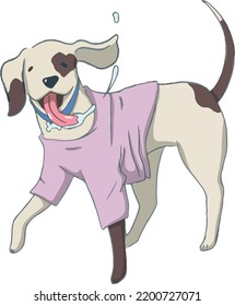 Cheerful dog in a T-shirt