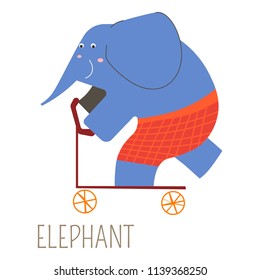 Cheerful elephant in red shorts on kick scooter