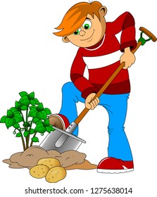 Cheerful farmer working in the garden. Farmer grows potatoes