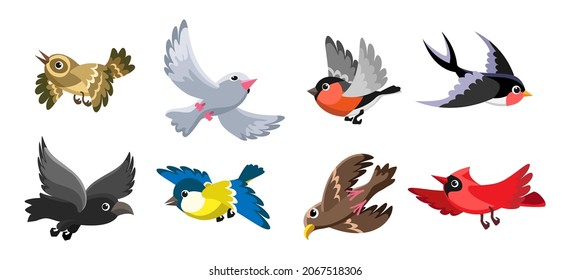 Cheerful flying birds  Cartoon bird set in fly motion isolated white background  happy garden movement little birdie vector illustrations