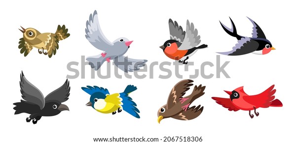 Birds cartoon Images - Search Images on Everypixel