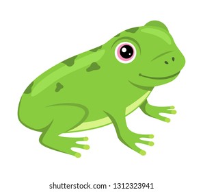 Cheerful frog cartoon on white background