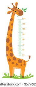 Cheerful funny giraffe height meter or meter wall or wall sticker from 50 to 120 centimeter. Childrens vector illustration