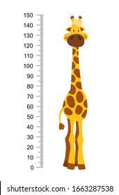 Cheerful funny giraffe with long neck. Height