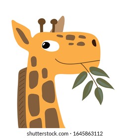 Cheerful giraffe with a tree branch. Portrait of a giraffe. Children's illustration.