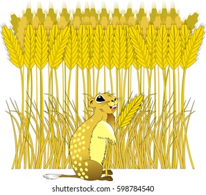Cheerful gopher on a wheat field on a sunny day