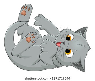 Cheerful gray kitten
