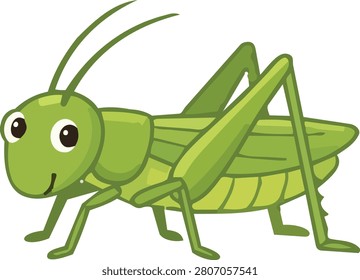 Cheerful green grasshopper cricket cartoon character standing with long jumping legs and smiling. Friendly meadow and garden insect bug vector illustration.
