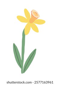 A cheerful, hand-drawn daffodil with vibrant yellow petals and green leaves against a white background.