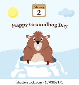 A cheerful and happy groundhog looks out from its snow hole. Vector illustration isolated on a white background.