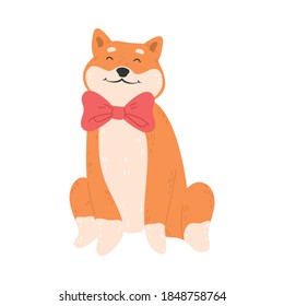 Cheerful japanese akita dog in red bow sitting and feeling happy