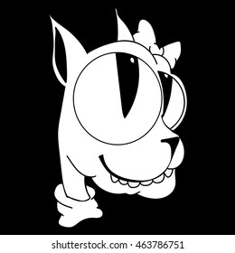 cheerful kitten on a black background