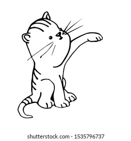 cheerful kitten sitting on its hind legs vector illustration in black ink isolated on white background in hand drawn style