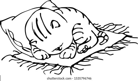 cheerful kitten sleeping on rug with pillow vector illustration in black ink isolated on white background in hand drawn style