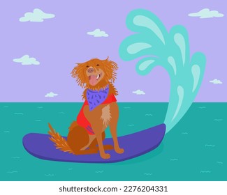 Cheerful labrador dog - surfer on a surfboard, having fun on the sea surrounded by sea waves, vector illustration , funny picture , positive mood