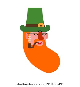 Cheerful leprechaun portrait. Dwarf with red beard and smoking pipe. St.Patrick 's Day. Holiday in Ireland.
