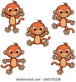 cheerful little monkey in various poses