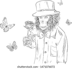 cheerful monkey in a suit with a rose in his hands surrounded by butterflies