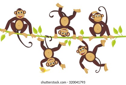 Cheerful monkeys frolic on a vine