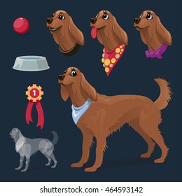 Cheerful obedient dog, collar, awards, ball. Set for motion tweens. Vector illustrations cartoon, flat style separate from the background.
