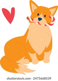 cheerful orange dog, likely Corgi, sports candy cane its mouth sits beside red, background clean white, making dog pop out vividly, colored Corgi sits large candy cane