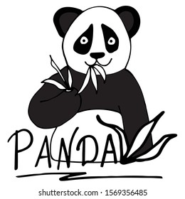 Cheerful panda baby holds in its paws a branch of eucalyptus with leaves. White isolated background. Drawn by hand. Suitable for design for poster, t-shirt, postcard, fabric, print. Vector 