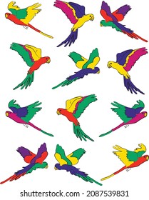 Patrón alegre con loros coloridos