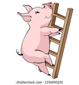 Cheerful pig climbs the stairs. vector illustration