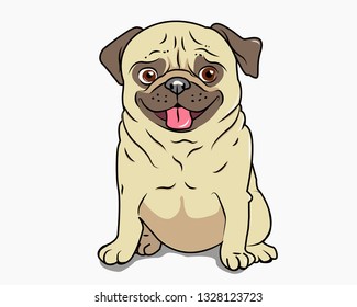 Cheerful pug breed dog