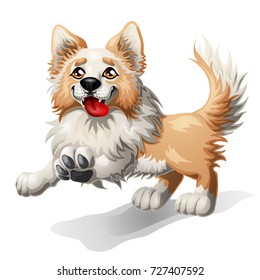 The cheerful puppy of a Border Collie, light-red with white, runs forward. A yellow dog a symbol 2018 new years according to the Chinese calendar. A cartoon vector illustration isolated on white.