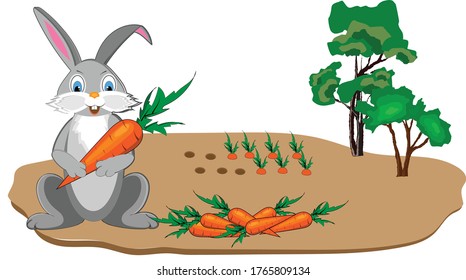 A cheerful rabbit was picking carrots in the garden and holding one large carrot in its paws. Vector illustration for design.