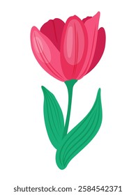 A cheerful red tulip with a single stem and two leaves, perfect for spring-themed designs, greeting cards, or floral illustrations. Vector illustration