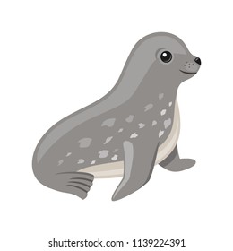 Cheerful seal vector illustration