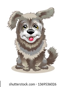 Cheerful shaggy dog