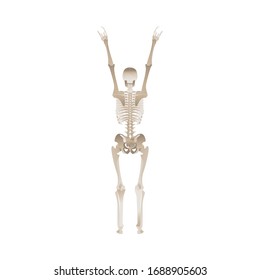 Cheerful skeleton dancing and jumping with hands up for Halloween party design. Scary objects vector illustration isolated on white background.