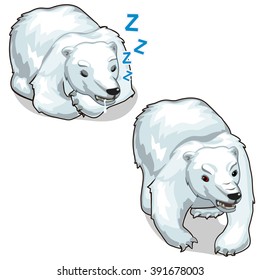 Cheerful and sleeping polar bear isolated on white background. Vector cartoon close-up illustration.