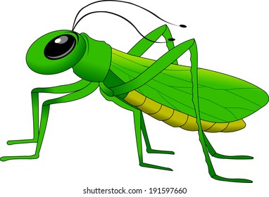 cheerful, small, green grasshopper vector and illustration