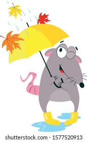 
cheerful smiling autumn rat in yellow rubber boots with a yellow umbrella hiding from rain and autumn leaves on isolated white background