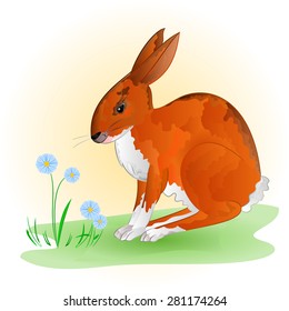 Cheerful spring bunny Hare with blue flowers vector illustration
