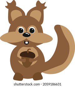 
Cheerful squirrel with a nut in his hands. Forest squirrel from the reserve.