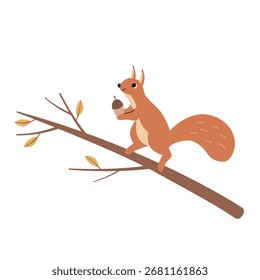 Fröhliches Eichhörnchen auf Baum mit Eichel in den Händen. Vektorszene mit Herbststimmung