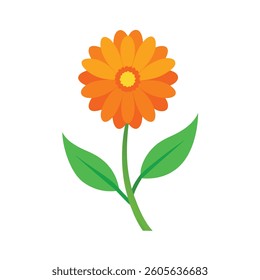 A cheerful, stylized illustration of an orange calendula flower with green leaves, set against a completely black background.