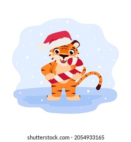 Cheerful tiger holds a candy cane. The symbol of the Chinese New Year. Cartoon animal. Eastern calendar for 2022. Chinese horoscope. Vector illustration.