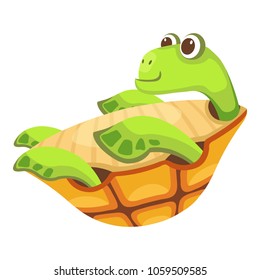 Cheerful turtle icon. Cartoon illustration of cheerful turtle vector icon for web