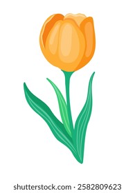 A cheerful yellow tulip with a single stem and two leaves, perfect for spring-themed designs, greeting cards, or floral illustrations. Vector illustration