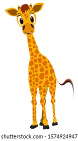 cheerful young giraffe, vector illustration of animal world